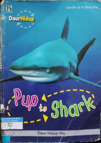 Image of Pup to Shark : Daur Hidup Hiu
