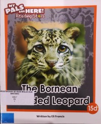 Image of The Bornean Clouded Leopard