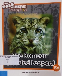 Image of The Bornean Clouded Leopard
