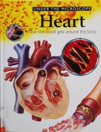 Image of Under The Microscope 1 : Heart : How the blood get around the body