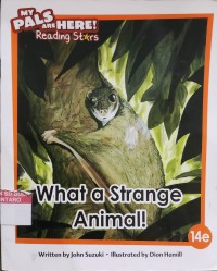 What a Strange Animal !