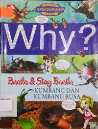 Why? Beetle & Stag Beetle