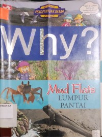 Why? Mud FLats